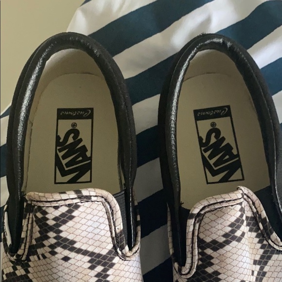 Custom Vans - Picture 3 of 5